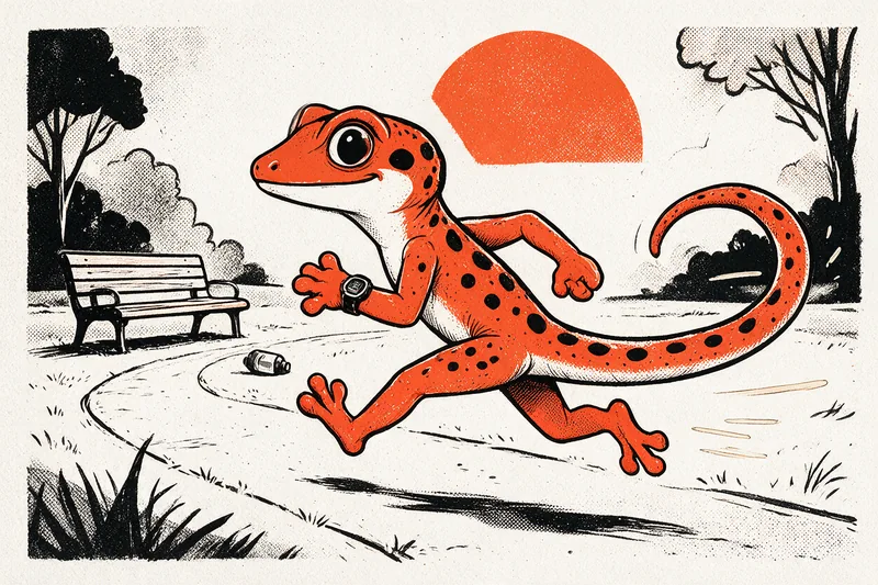 Le Gecko court décontracté sur un sentier de parc, montre de sport au poignet, près d’un banc et d’une bouteille d’eau, sous un grand soleil orange.