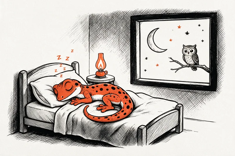 Le Gecko endormi dans un lit sous une couverture, une lampe orange sur la table de chevet, une fenêtre ouverte sur un croissant de lune, des étoiles et une chouette perchée sur une branche.